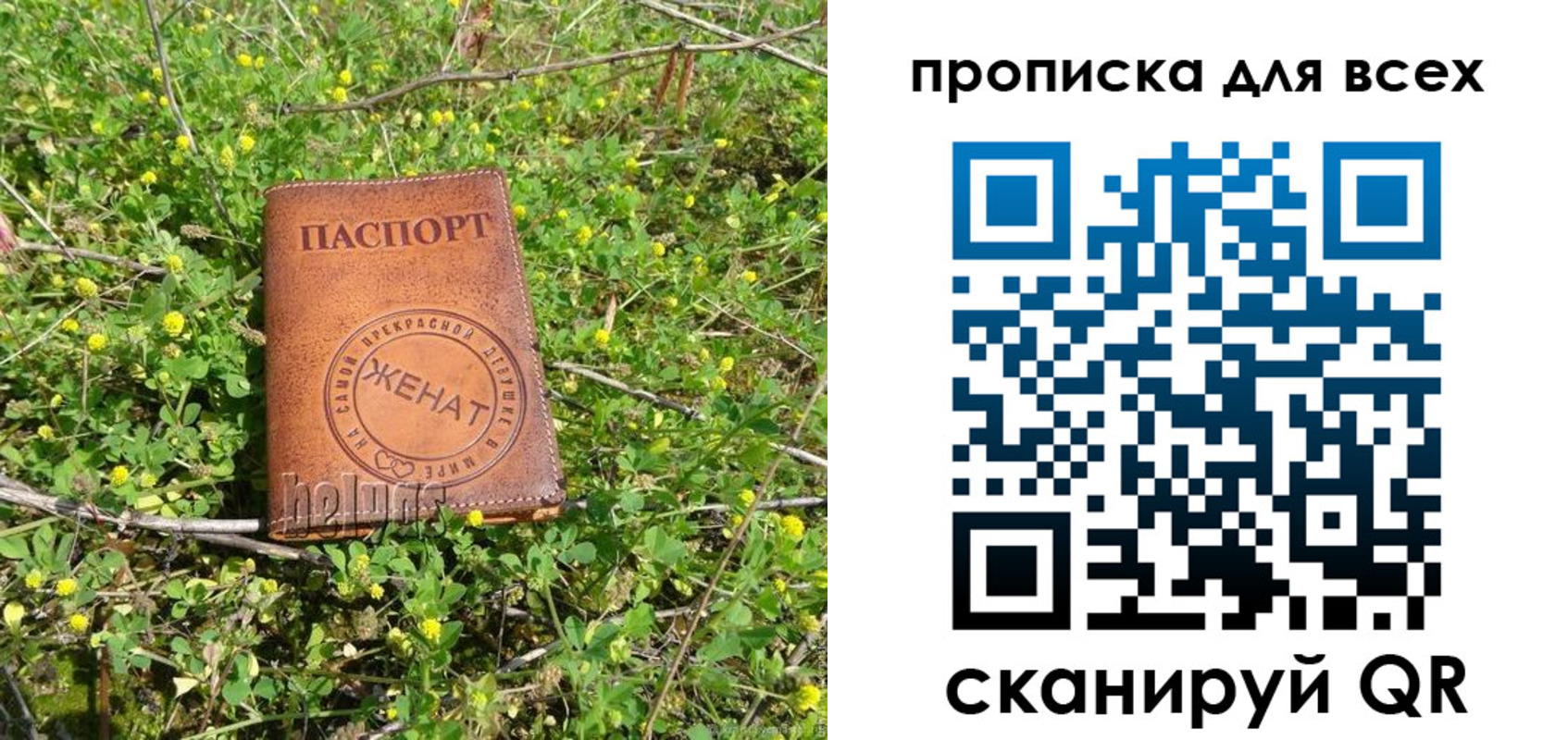 прописка поиск в Благовещенске